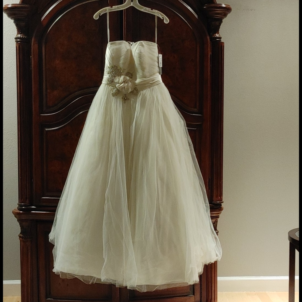 Wedding Dress / Never worn